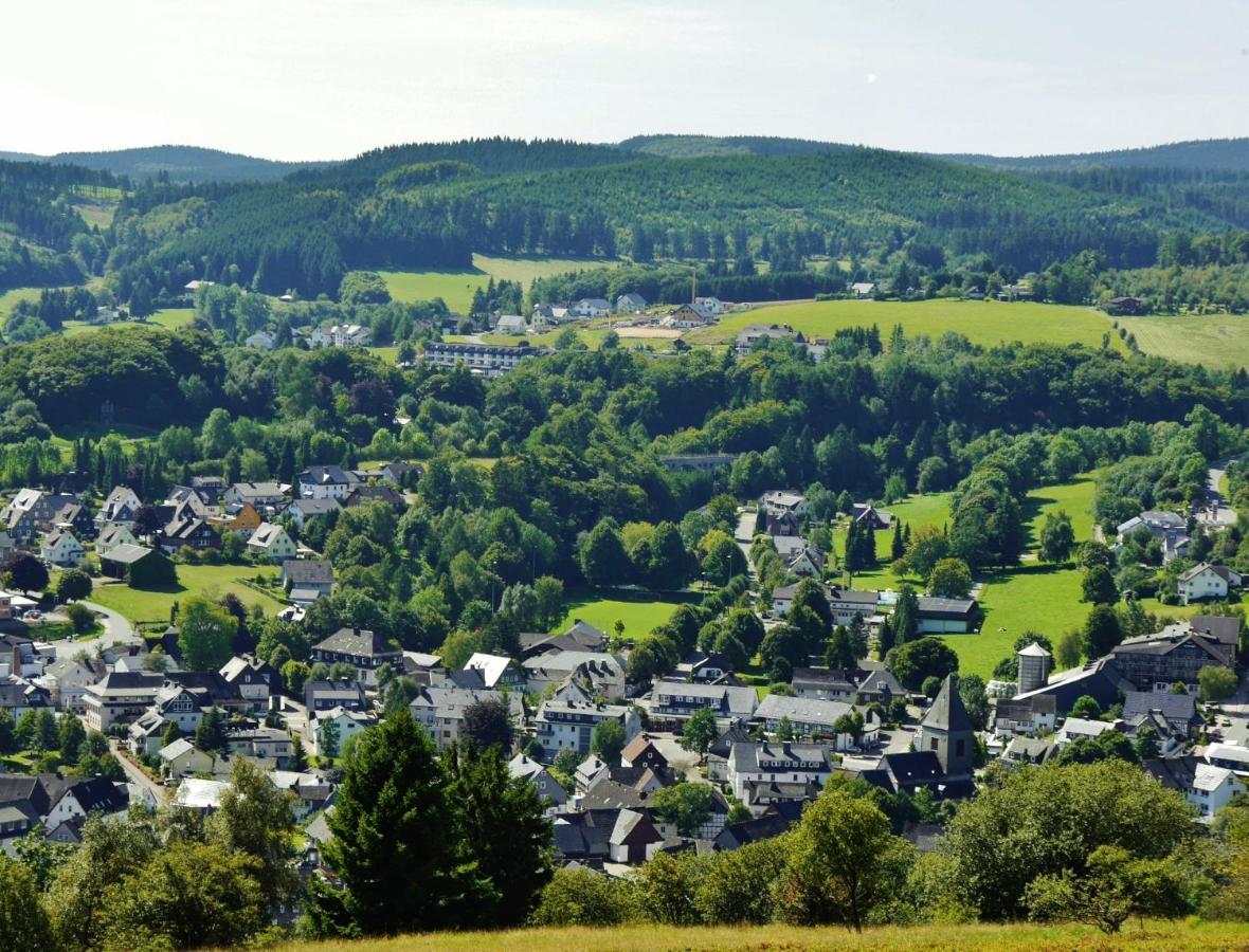 Fewo Blumes Bergfrieden Mit Meinecardplus Willingen  Bagian luar foto