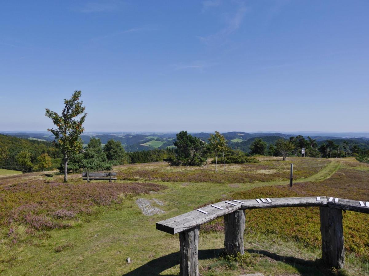 Fewo Blumes Bergfrieden Mit Meinecardplus Willingen  Bagian luar foto