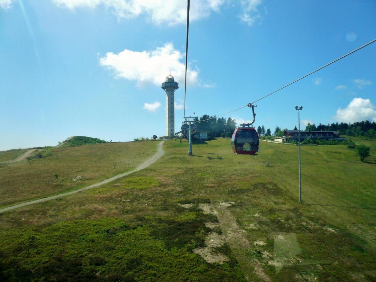 Fewo Blumes Bergfrieden Mit Meinecardplus Willingen  Bagian luar foto