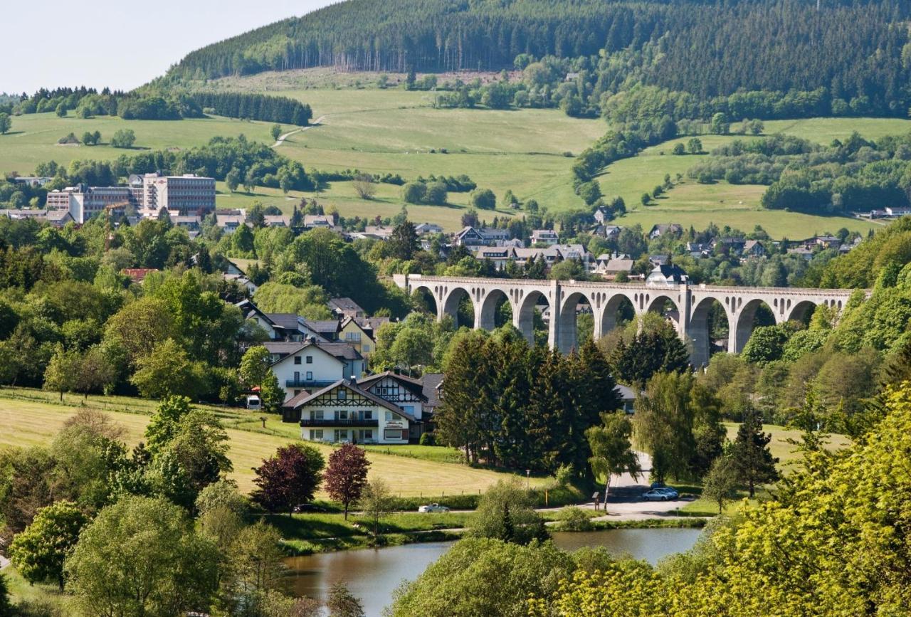 Fewo Blumes Bergfrieden Mit Meinecardplus Willingen  Bagian luar foto