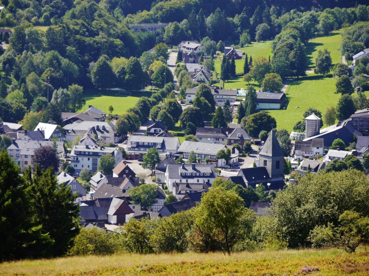 Fewo Blumes Bergfrieden Mit Meinecardplus Willingen  Bagian luar foto