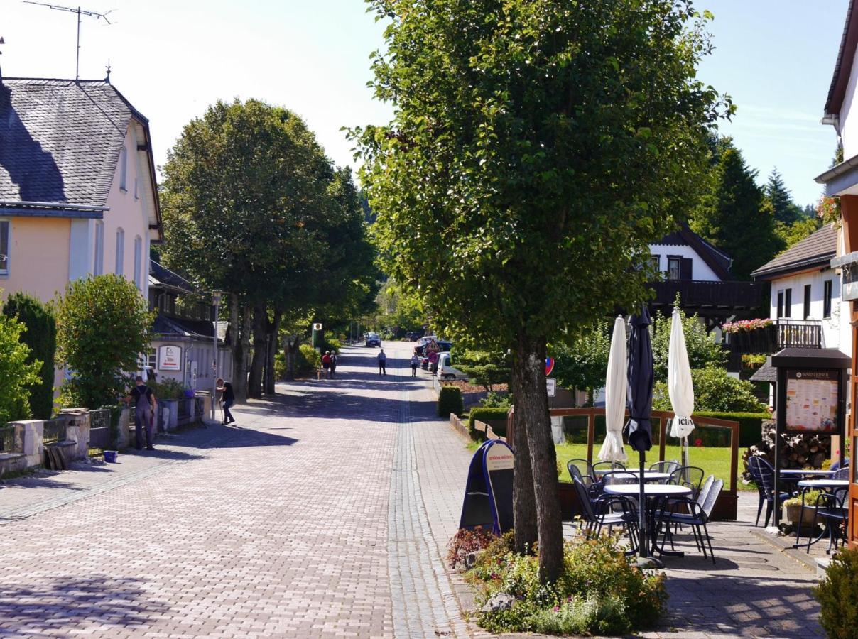 Fewo Blumes Bergfrieden Mit Meinecardplus Willingen  Bagian luar foto